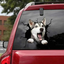 Load image into Gallery viewer, 1pcs/2pcs New Fun Pet Dog/Pig/Horse Decal Car Stickers, Window Decoration for Dog Lovers, Automotive Styling Accessories
